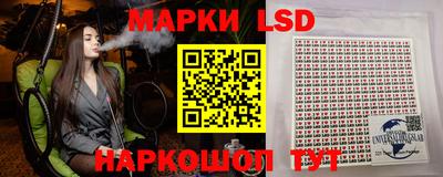 мдпв Камышлов