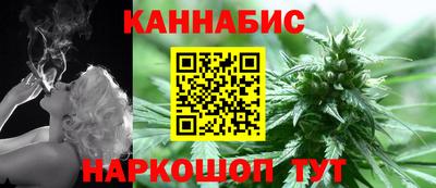 мдпв Камышлов