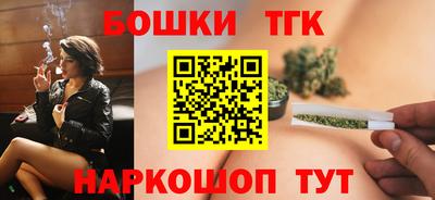 мдпв Камышлов