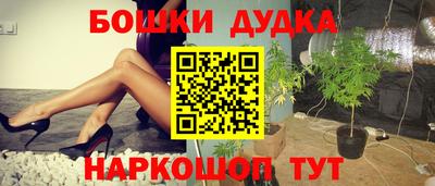 мдпв Камышлов