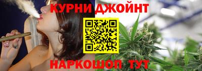 мдпв Камышлов