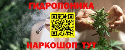 мдпв Камышлов