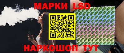 мдпв Камышлов
