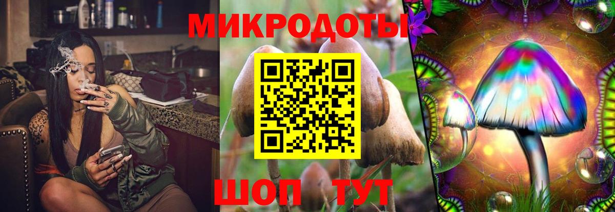 Электрогорск  купить наркотик  Вход с VPN  Псилоцибиновые грибы ЛСД 